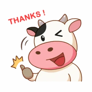 Momo Cow