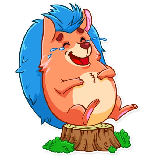Meet the Hedgehog