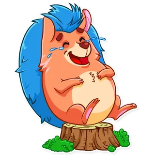 Meet the Hedgehog