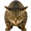 Naughty Tab Emoji