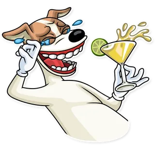 Party Dog