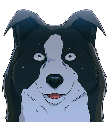 Pawther Knows Better Telegram Sticker #1 - Pawther Knows Better #1