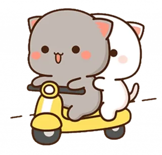 Cute Cat Duo