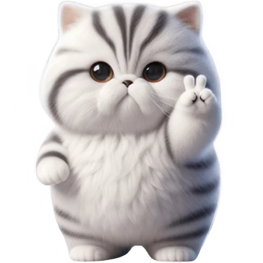 Cute Fluffy Cat Telegram Sticker #14 - Cute Fluffy Cat #14