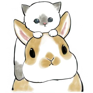 Kittens and Rabbits