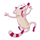 Raccoon Charlie Stickers
