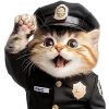 Real Cat Police Officer Not Emoji