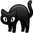 Scared Cat