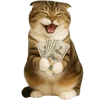 Scottish Fold Very Cut Emoji Telegram Sticker #24 - Scottish Fold Very Cut Emoji #24
