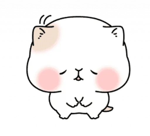 Shy White Cat