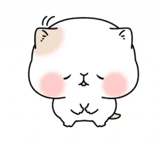 Shy White Cat