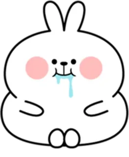 Rabbit Character Meli