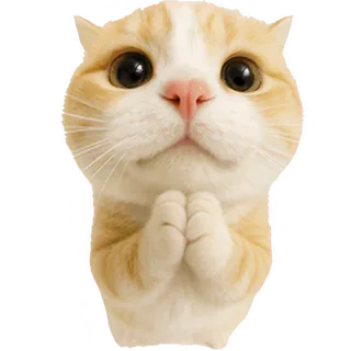 Pleading Ginger Cat