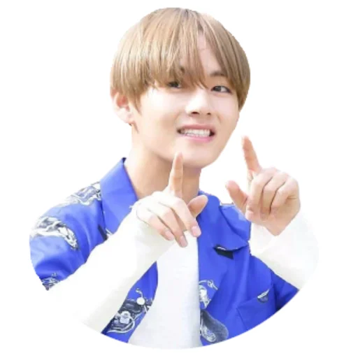 Taehyung Telegram Sticker #14 - Taehyung #14