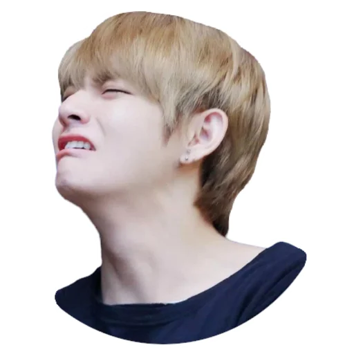 Taehyung Telegram Sticker #17 - Taehyung #17