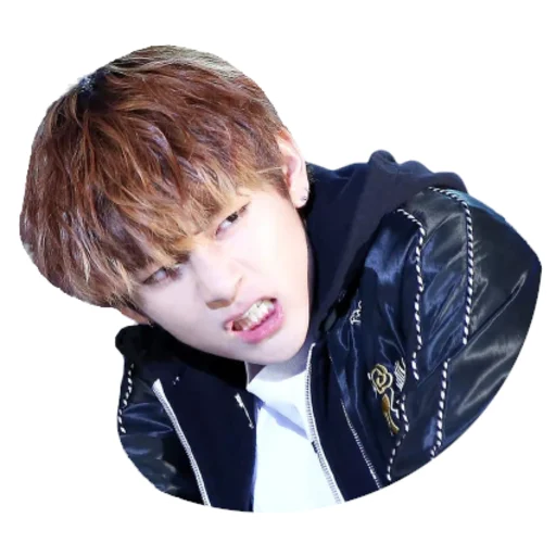 Taehyung Telegram Sticker #20 - Taehyung #20