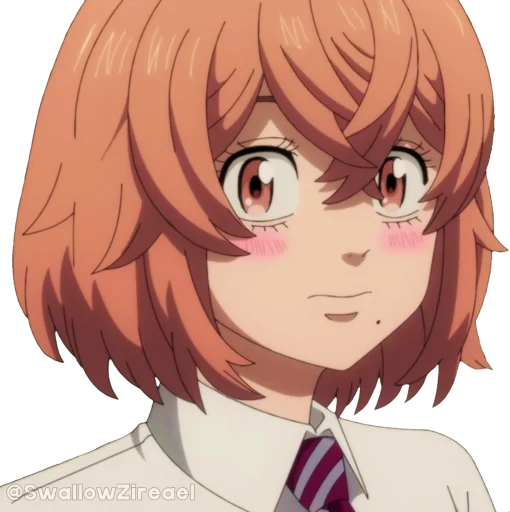 Tokyo Revengers Telegram Sticker #5 - Tokyo Revengers #5