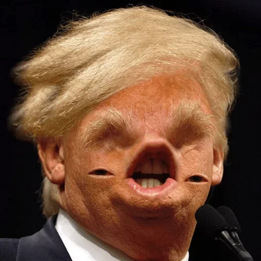 Trump Faces Telegram Sticker #10 - Trump Faces #10
