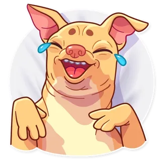 Tuna the Dog