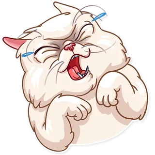 Laughing White Cat