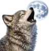 Woolf Emoji Telegram Sticker #5 - Woolf Emoji #5