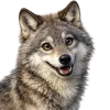 Woolf Emoji Telegram Sticker #9 - Woolf Emoji #9