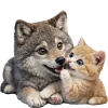 Woolf Emoji Telegram Sticker #12 - Woolf Emoji #12
