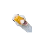 Zhivotnye Ee Zee Stickers