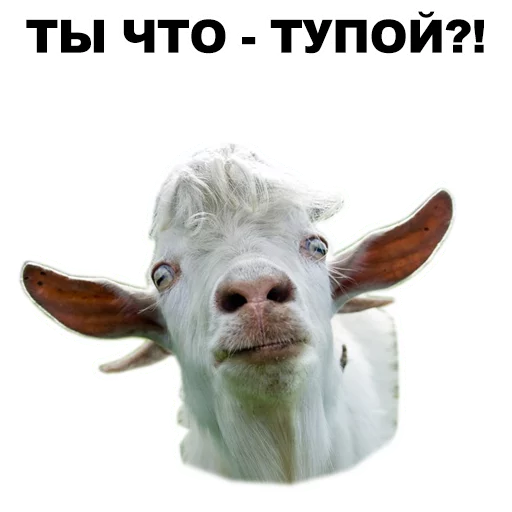 Zhivotnye Ee Zee Stickers Telegram Sticker #8 - Zhivotnye Ee Zee Stickers #8