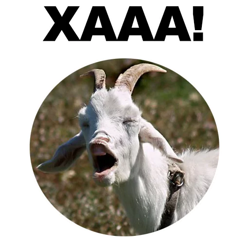 Zhivotnye Ee Zee Stickers Telegram Sticker #16 - Zhivotnye Ee Zee Stickers #16