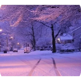 Winter Vibe