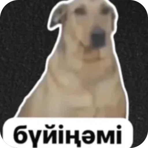 Ahahah2059 Telegram Sticker #8 - Ahahah2059 #8