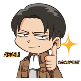 Attack on Titan Levi