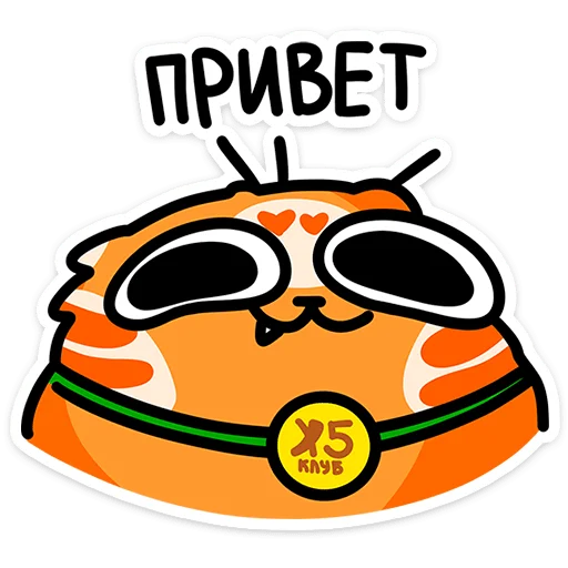 Cashback Orange Cat Telegram Sticker #1 - Cashback Orange Cat #1