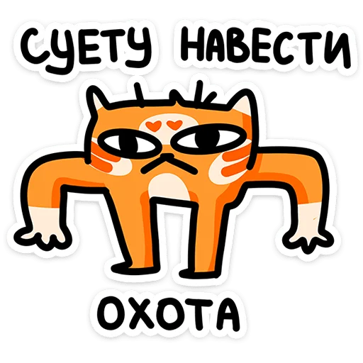 Cashback Orange Cat Telegram Sticker #12 - Cashback Orange Cat #12