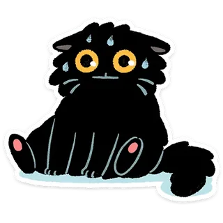 Black Cat Kefir