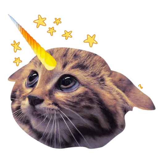 Catcorn Telegram Sticker #3 - Catcorn #3