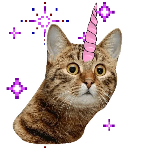 Catcorn Telegram Sticker #14 - Catcorn #14