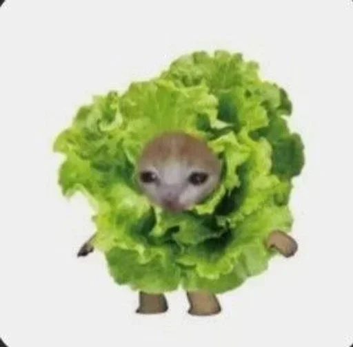 Cbdrenrmgq5bd8b7209a9d Stickerevobot Telegram Sticker #19 - Cbdrenrmgq5bd8b7209a9d Stickerevobot #19