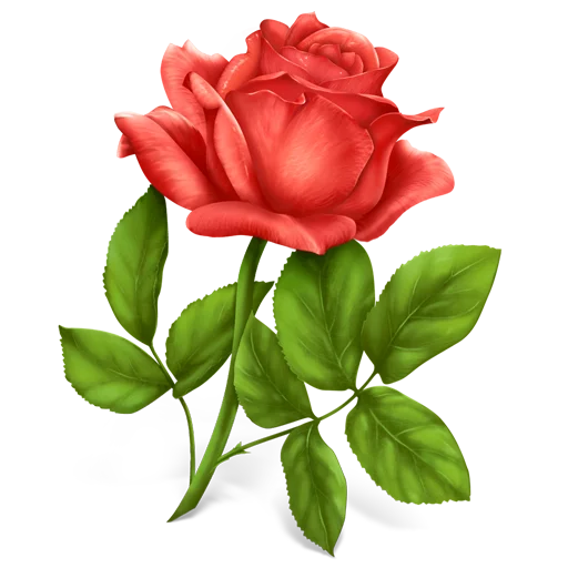 Congratulations Telegram Sticker #11 - Congratulations #11