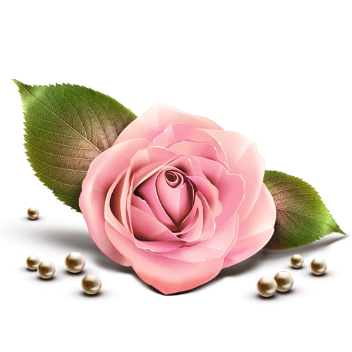 Congratulations Telegram Sticker #13 - Congratulations #13