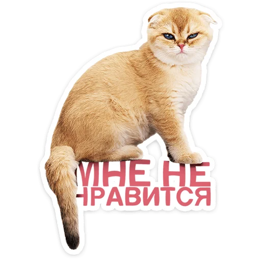 Chaotic Kitties Telegram Sticker #2 - Chaotic Kitties #2