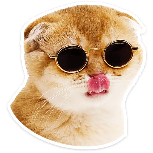 Chaotic Kitties Telegram Sticker #4 - Chaotic Kitties #4