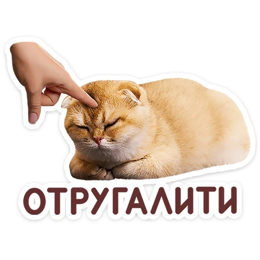 Chaotic Kitties Telegram Sticker #10 - Chaotic Kitties #10