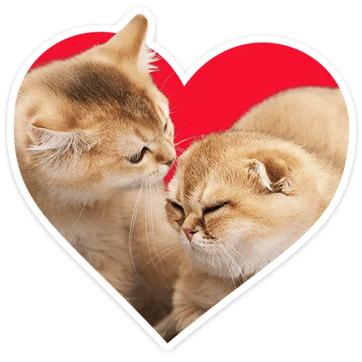 Chaotic Kitties Telegram Sticker #13 - Chaotic Kitties #13