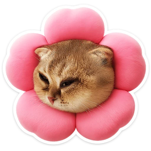 Chaotic Kitties Telegram Sticker #17 - Chaotic Kitties #17