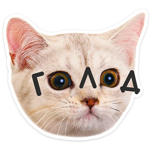 Chaotic Kitties Telegram Sticker #18 - Chaotic Kitties #18