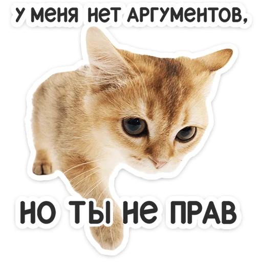 Chaotic Kitties Telegram Sticker #19 - Chaotic Kitties #19