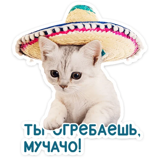 Chaotic Kitties Telegram Sticker #20 - Chaotic Kitties #20