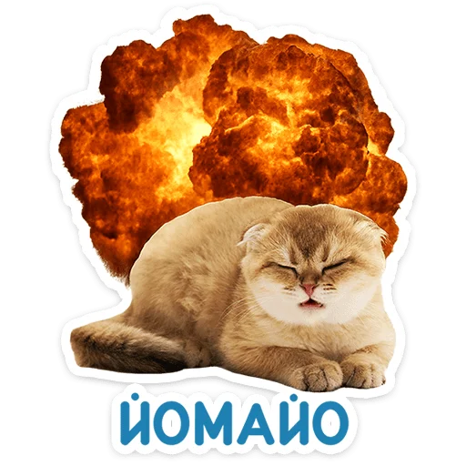 Chaotic Kitties Telegram Sticker #21 - Chaotic Kitties #21